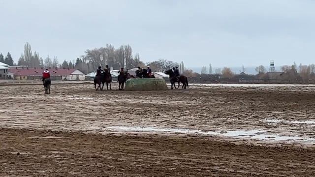 Жаштык & Ийгилик