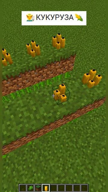КУКУРУЗА в Minecraft #shorts | Майнкрафт как сделать Кукурузу