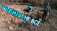 Оказывается мы не всё выбили на этом поле!