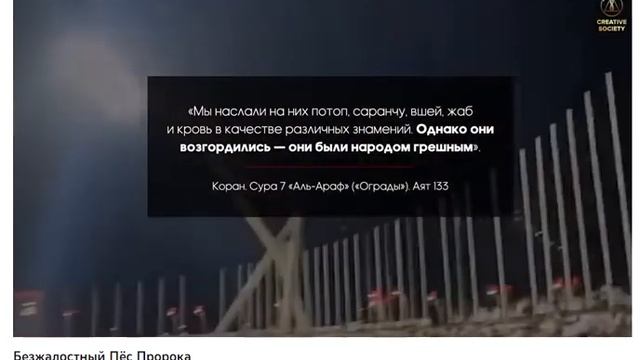 Безжалостный Пёс Пророка начал идти