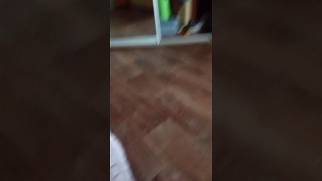 VID_20250418_183542.mp4