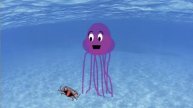 Box Jellyfish