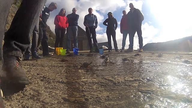 Solva Crab Race 2012 HD