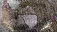 Лапша с говядиной и овощами