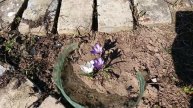 18-04-2025💥без прически💥на огороде