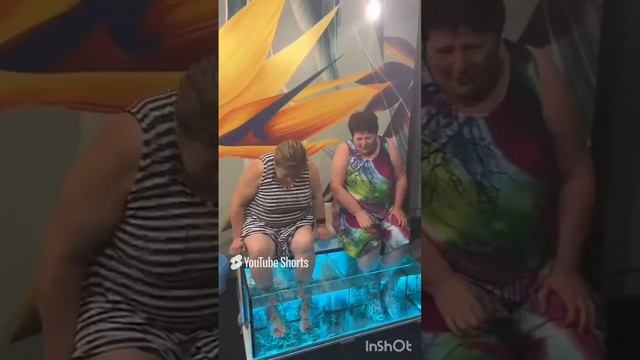 1000170053.mp4тетки на расслабление...