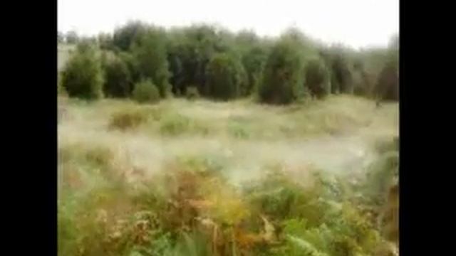 Airsoft - Sanok 2007