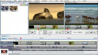 VideoPad Video Editing Software | How to Add Effects