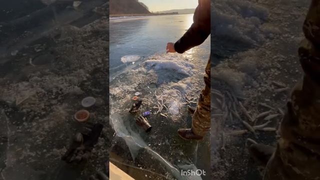 #морская #рыб# Музыка: DayspringМузыкант: Firefl!esURL: https://www.youtube.com/watch?v=eoplw2Cc3xc