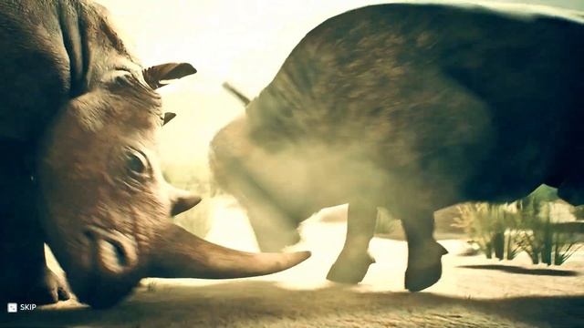 Miocene White Rhinoceros  vs African Buffalo