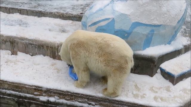 Кай достал остатки нашего подарка и стал играть 02.12.2020