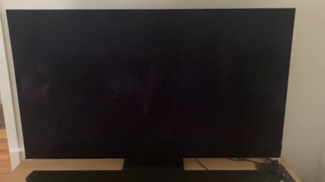 Samsung s95b faulty start up