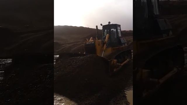 Артель полярная