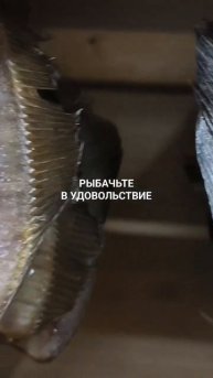 Мурманский вяленый ёрш.