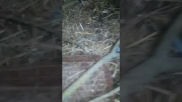 когда закончился бензин для бензопилы mp4
