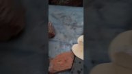 Мини диорама ,,Лебедь" из фанеры.