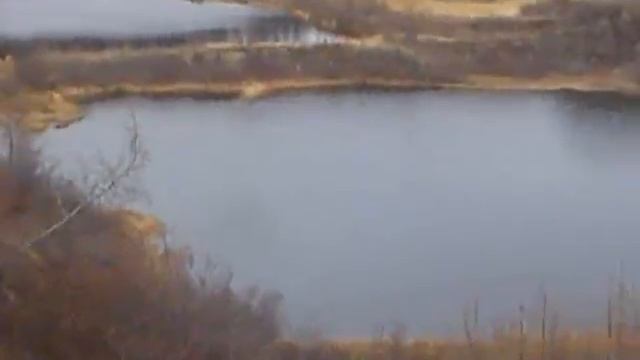 Горняки-Шоу (поле 2012 г)