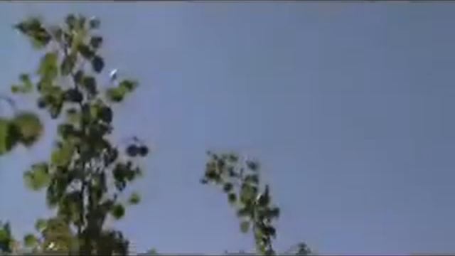 Classic Landscaping Season 6 - Episode 13 - Swedish Aspens & Tower Poplars