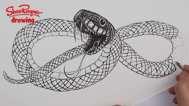 How to Draw a Snake in Ballpoint Biro Pen - Year of the Snake!