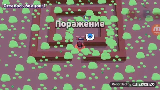 Битва медведей