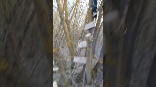Строим домик