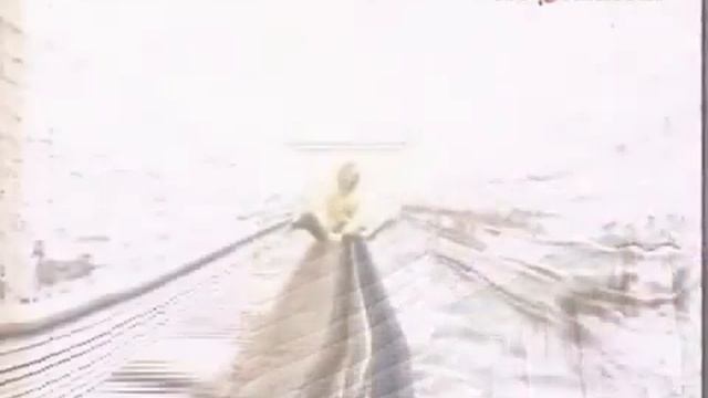 Вот и Дельфин пожаловал
