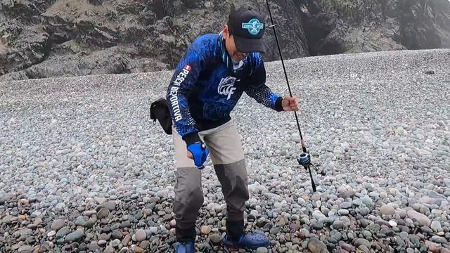 A madness of fish on the shore