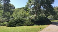 Giant Oak Branch Almost Kills Chef John!