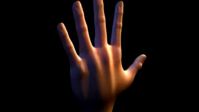 Hand Model