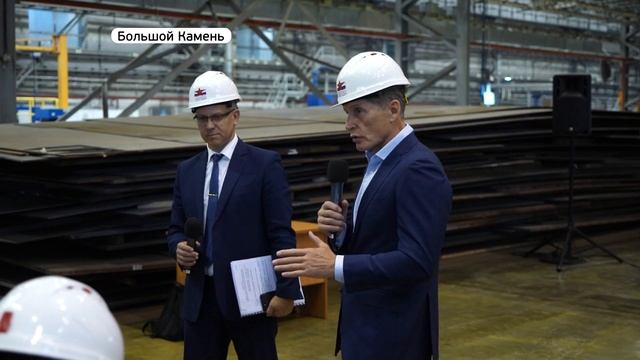 В Большом Камне откроют питомник для бездомных собак