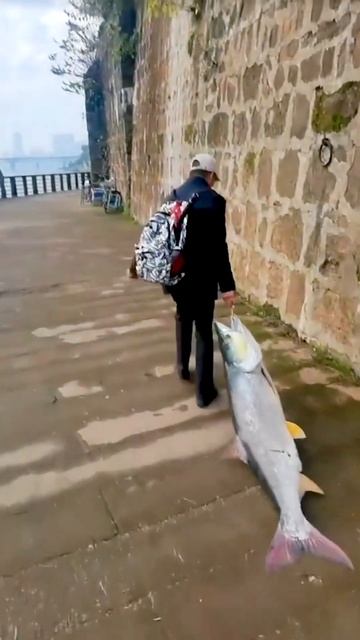 Рыба приволокла рыбака😄 и он вынужден просить помощи 😄😄😄