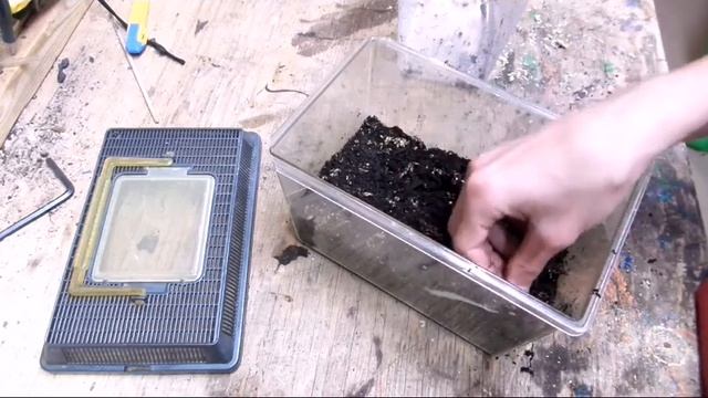 How To Setup A Rustic Wolf Spider Enclosure || Trochosa Ruricola