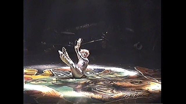 CATS  The Musical.Jellicle Song For Jellicle Cats.London May 2001.Мюзикл "Кошки".Лондон Май 2001.