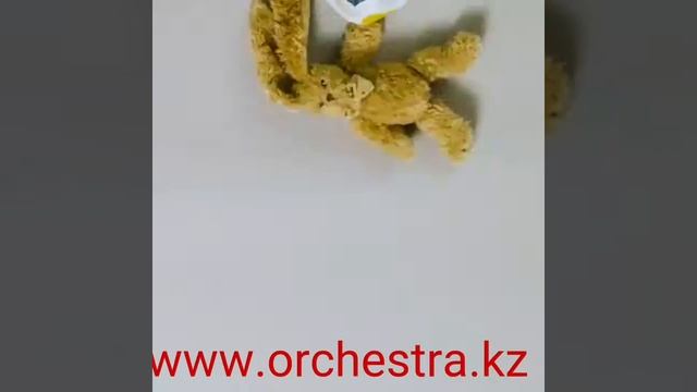 Одежда для новорожденных от бренда REIMA в интернет магазине ORCHESTRA