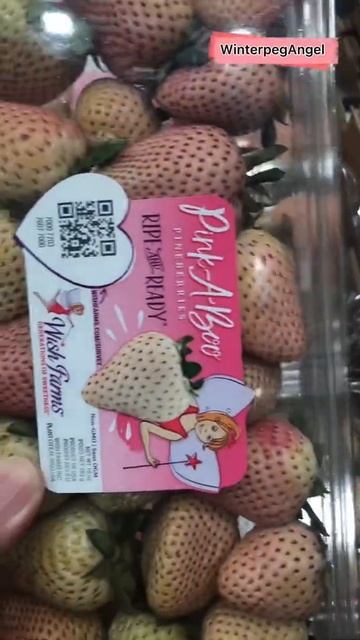 Pineberries vs Strawberries | WinterpegAngel
