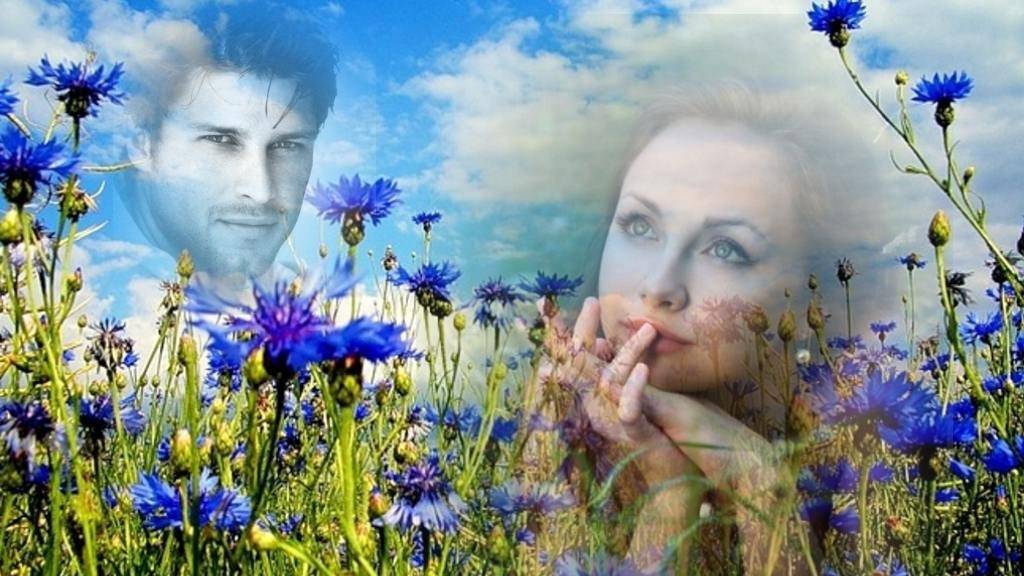 Васильки. Любовь Мишура, Николай Стах