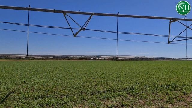 PROPERTY AUCTION: 102 Hectare Citrus Farm Groblersdal