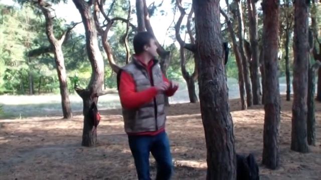 Cold Steel Pocket Shark Test