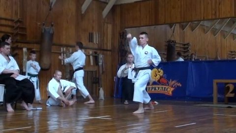Волынец Александр. Ката Энпи.