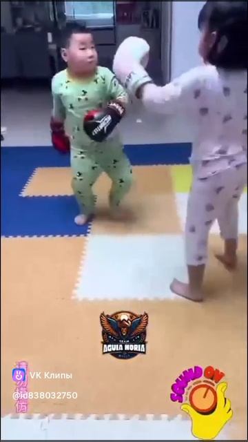 боксеры