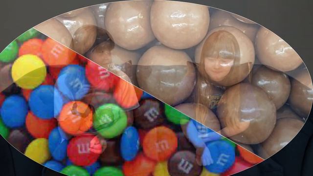 The Wizzels | We Try Polish Snacks 🇵🇱 🍫 🍬 | Featuring our friend Ellie | Family Vlog/Challenge