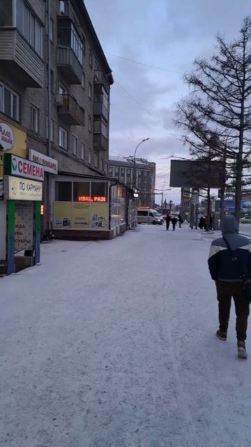 Новосибирск 18.04.2025г. Опять пришла зима. #Новосибирск #зима