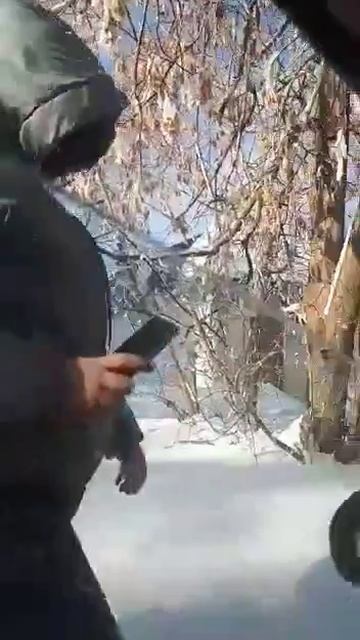 Актриса года