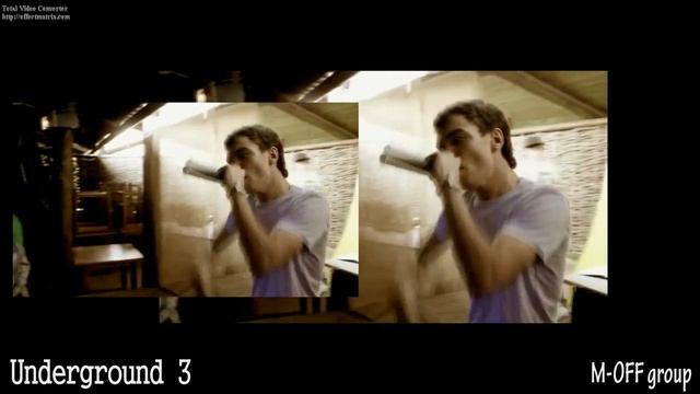 Летучая мышь 2010