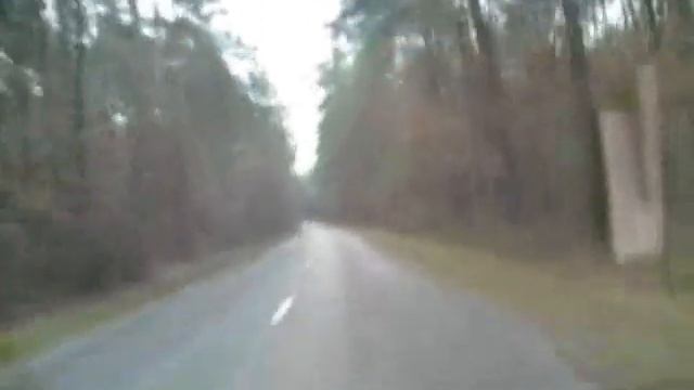 рута в лесу.wmv