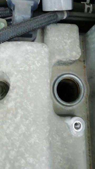VID-20250217-WA0013