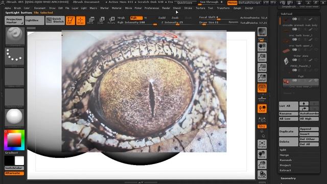 Zbrush to Keyshot alligator creation 07 Painting final details