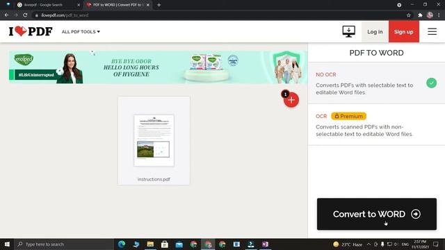 Convert PDF To Word | No OCR = Free, OCR = Premium | Website Method