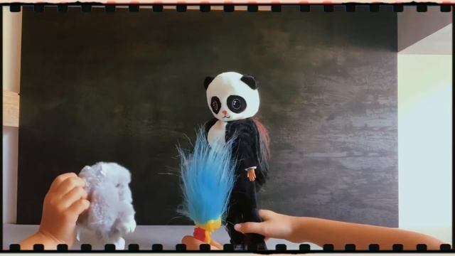 Alla ricerca del koala Francesco