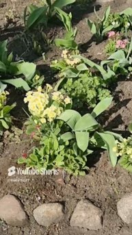 Весна идёт...❤️🌿🌞